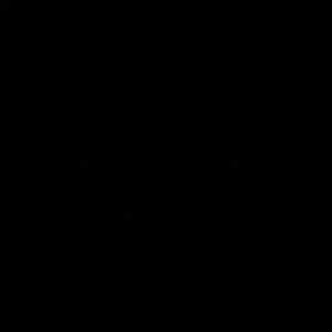 Meet your Posher, Isis